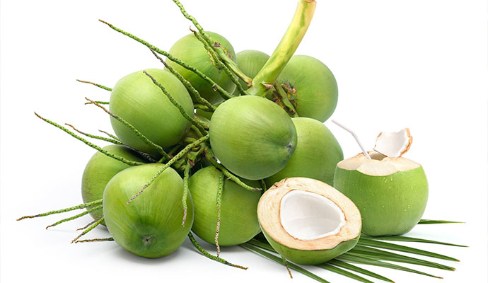 Coconut
